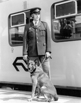 171701 Portret van een agent van de spoorwegpolitie van N.S. met een politiehond op een perron.